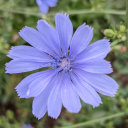 unicornsanddragons23 avatar