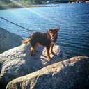 unicornsnuggz avatar