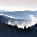 unicornsrulethisplanet avatar