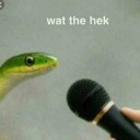 unicornssunflowersandstuff avatar