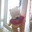 unicornumunejderhasivar avatar