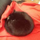 unicornunderthesea avatar