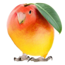 unidentifiable-object avatar