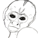 unidentifiedprimate avatar