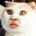 unimpressedsince88 avatar