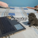 unintelligibledifference avatar