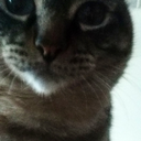 unintendedselfdestruction avatar