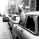 unintentional--sass avatar