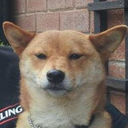 unintentionaljesus avatar