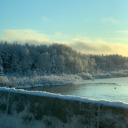 unintentionally-bitchy avatar