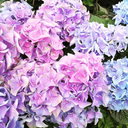 unintentionallyweird avatar