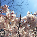 unique-ranger avatar