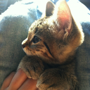 unique-soul15 avatar