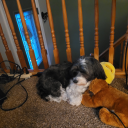 uniquebannafest avatar