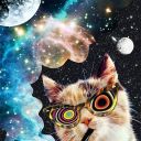 uniquedragonkitty avatar