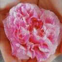 uniqueexpertrascalsoul avatar