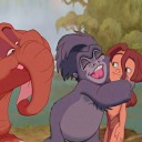 uniquesharkrebelghost avatar