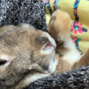 uniqueshoebakeryweasel avatar