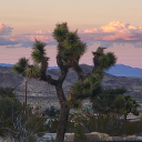 uniqueunofficialusername avatar