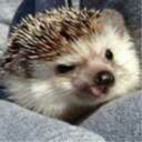 unit04-archive-blog avatar