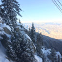 united-we-read avatar