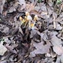 universal-alien2005 avatar