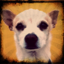 universalalguz avatar