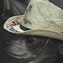 universalfatherfigure avatar