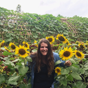 universalfeelings avatar