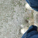 universaljinx avatar