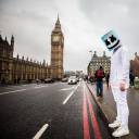 universallycollectiondestinyfan avatar