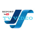 universallyegghoundpie avatar