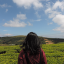 universallypenguinfart avatar