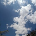 universallysandwichchild avatar