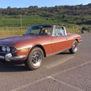 universallythingduck avatar