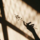 universe-in-making avatar