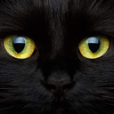 universeandguides avatar