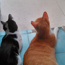 universeart-love avatar