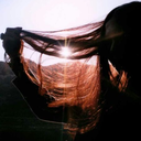 universeofcolors avatar