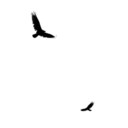 universeonmyceiling avatar