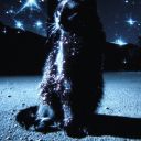 unkn0wn-user653 avatar