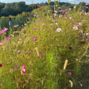 unkn0wn2sworld avatar