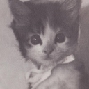 unkn0wnm3m0ry avatar