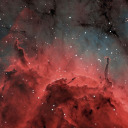 unknown-booklover avatar