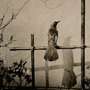 unknown-soldier-shadow avatar