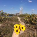 unknownerror7 avatar