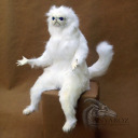 unknownuser2225551 avatar