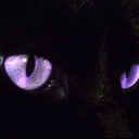 unknownwonder avatar