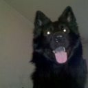 unleashedfreakz avatar