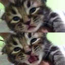 unlightedsoul avatar